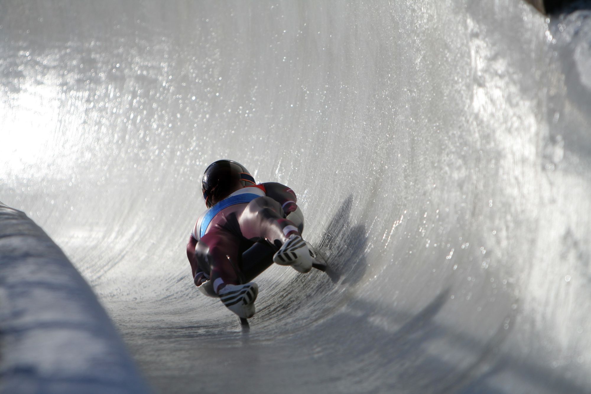 Calling all Luge Fans!